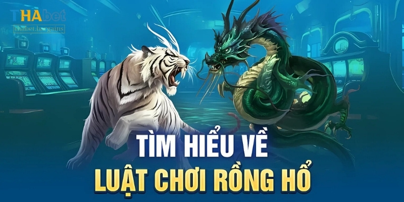 Luật chơi Rồng hổ tương đối đơn giản